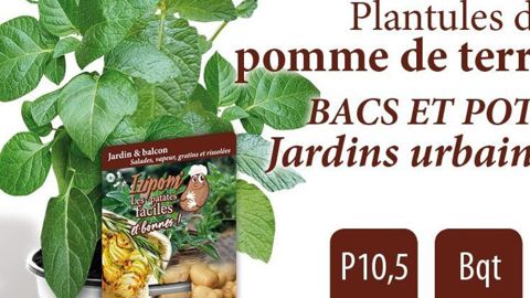 Distribution : A. Ducrettet SAS, Gaillard (74). 